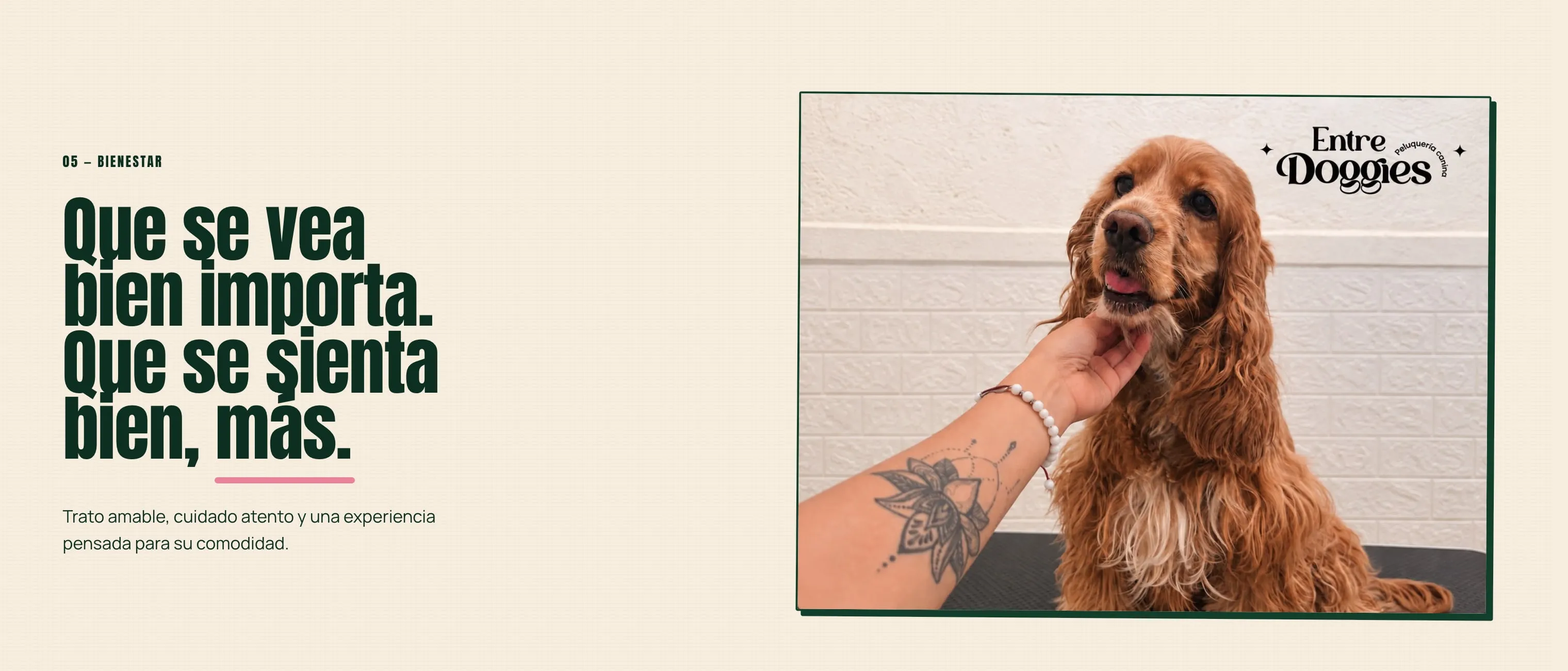 El cierre del sitio de Entre Doggies: «Que se vea bien importa. Que se sienta bien, más», junto a la foto de un perro recién peinado.