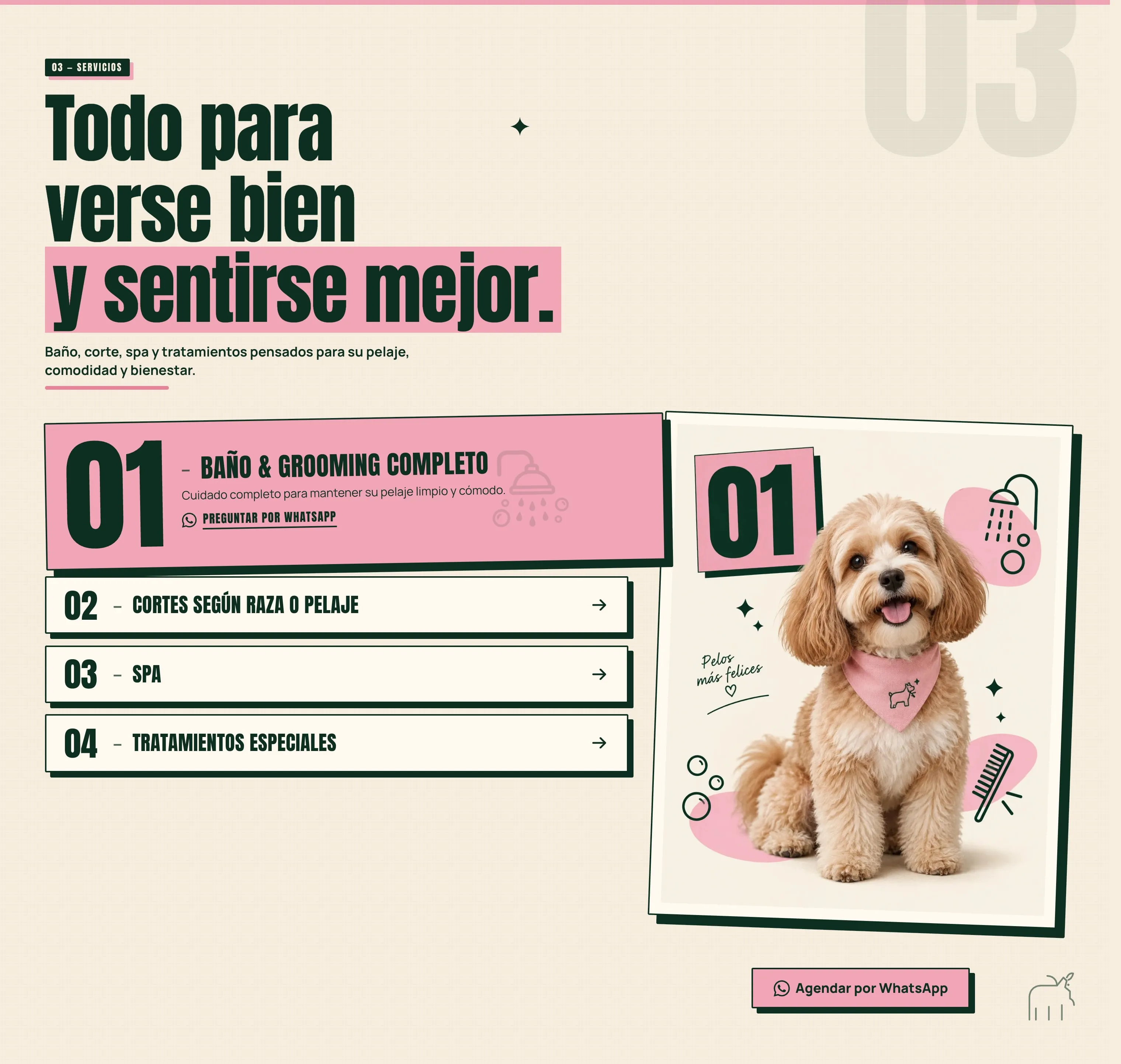 Sección de servicios del sitio de Entre Doggies, con sus cuatro categorías.